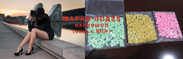 винт Аркадак
