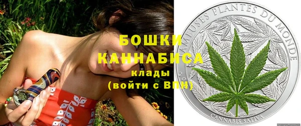 хмурый Нефтекумск
