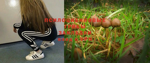 крисы Алексеевка