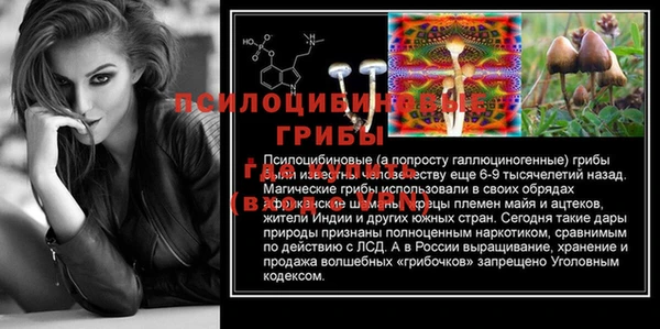 гашик Армянск