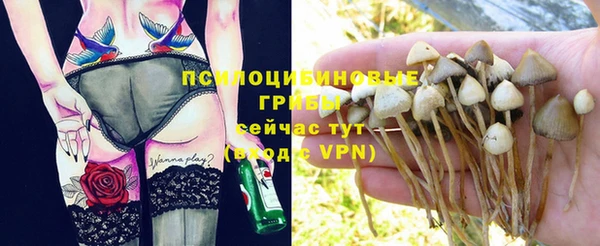 крисы Алексеевка
